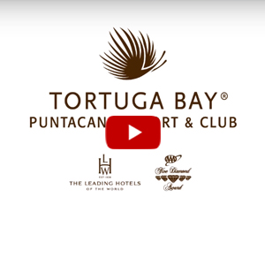 Tortuga nuevo Video Gallery